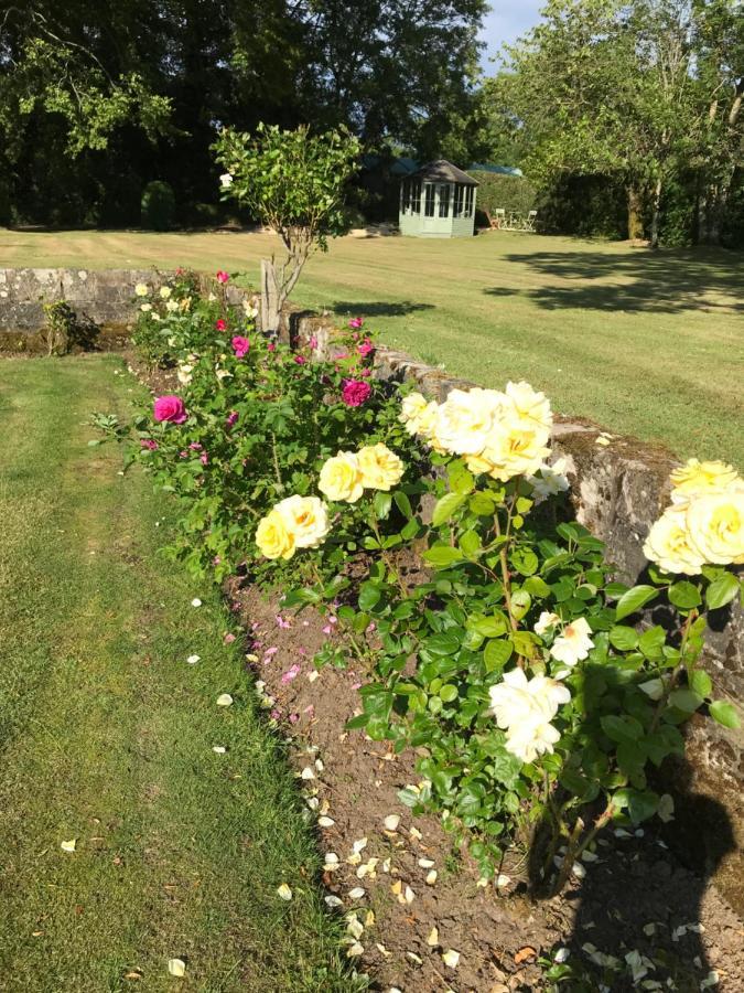 South Craighall B&B Eaglesham Exteriör bild