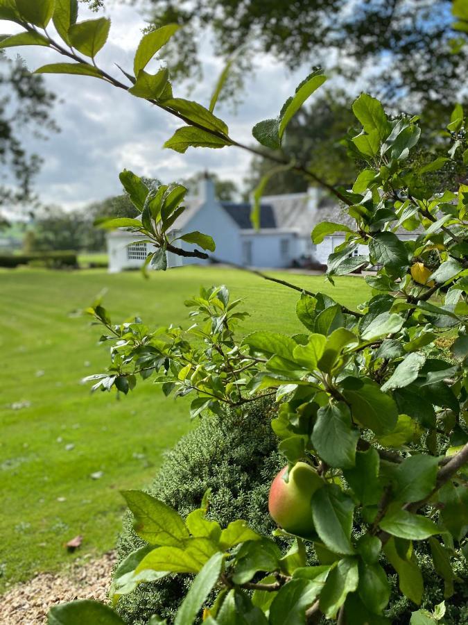 South Craighall B&B Eaglesham Exteriör bild