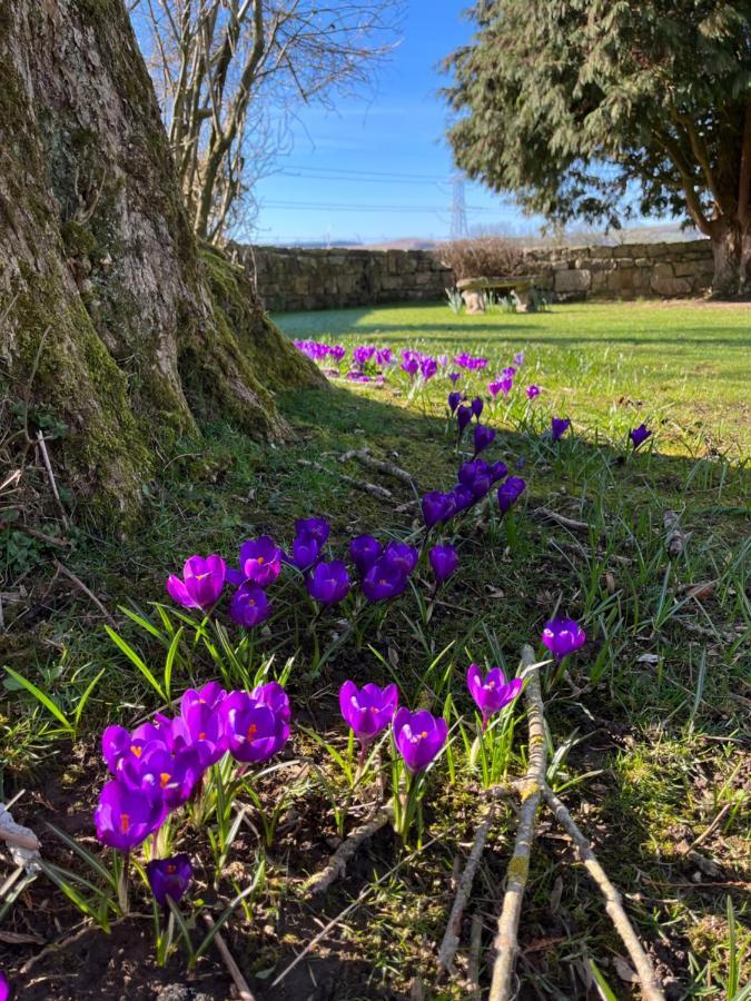 South Craighall B&B Eaglesham Exteriör bild