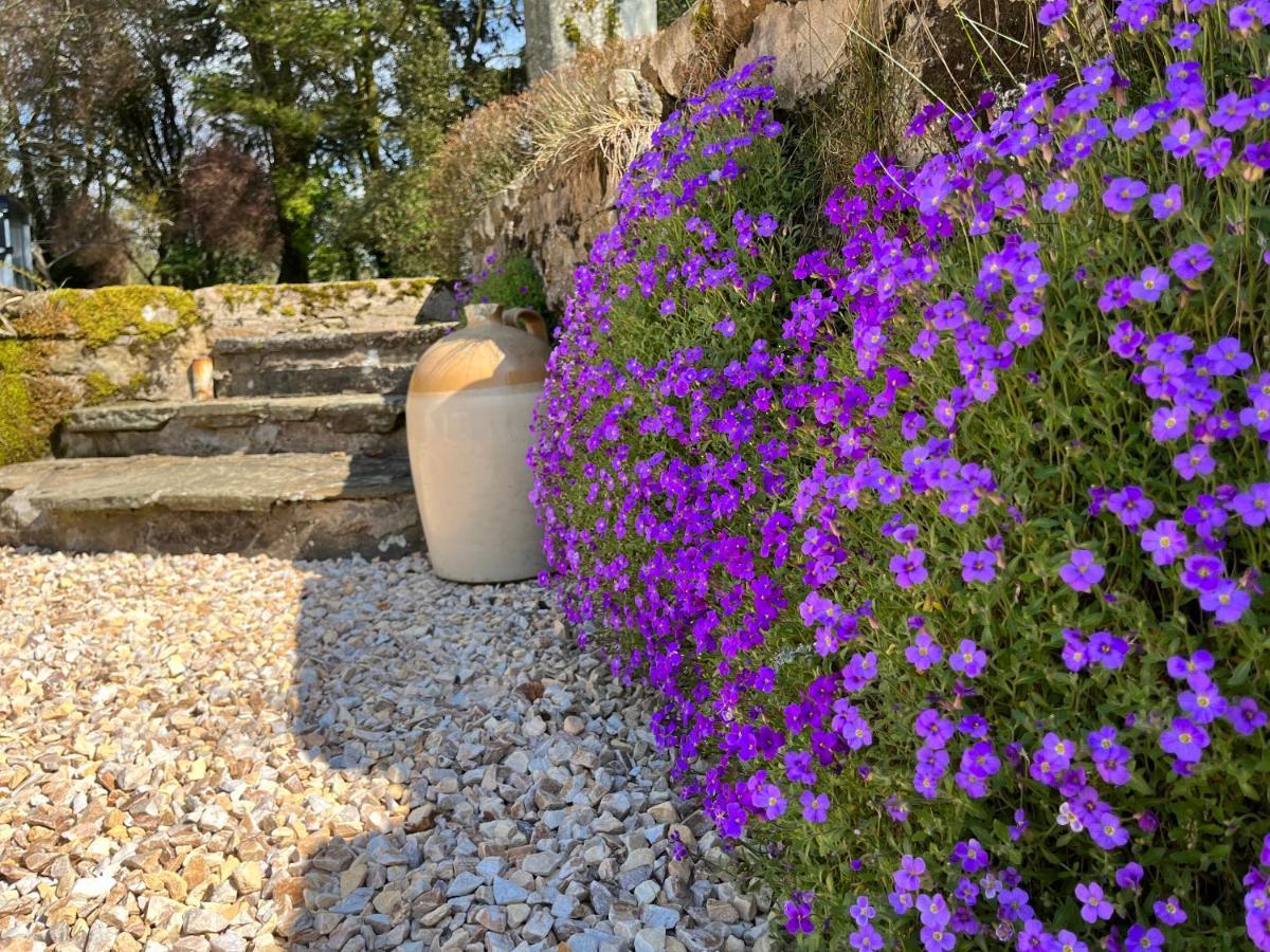 South Craighall B&B Eaglesham Exteriör bild