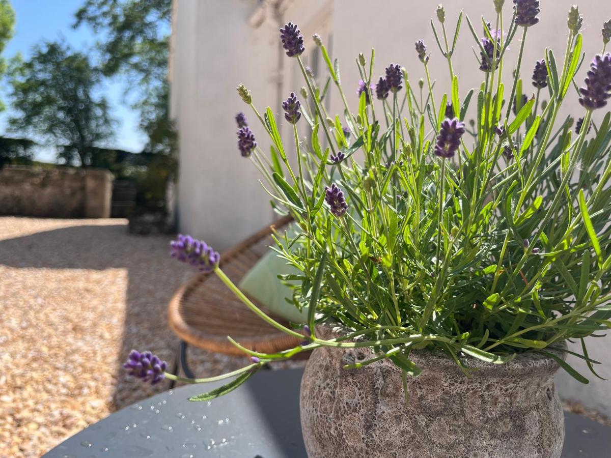 South Craighall B&B Eaglesham Exteriör bild